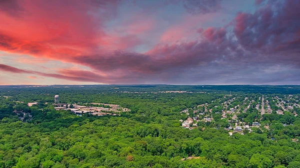 Mesmerizing View Beautiful Field Surrounded Trees Scenic Sunset — Stockfoto