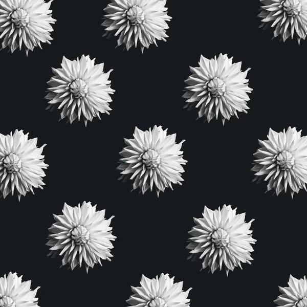 Rendering Dahlia Black White Pattern Black Background — Stock Photo, Image