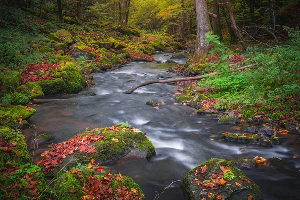 Prachtige Wandelbestemming Herfstbos Perlbachtal Natur Und Erlebnispfad Perlbachtal — Stockfoto