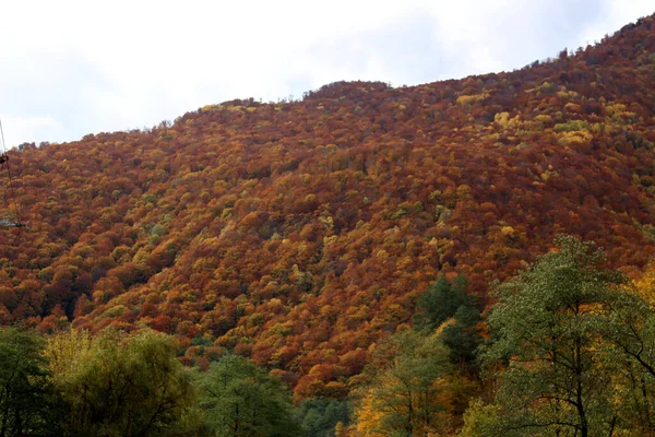 Beautiful Scenery Amazing Autumn Colors Cozia Olt River Valley — Photo