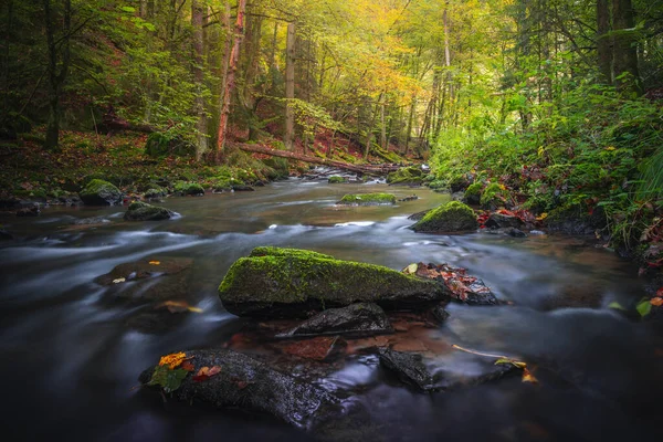 Krásná Turistická Destinace Podzimní Les Perlbachtalu Natur Und Erlebnispfad Perlbachtal — Stock fotografie