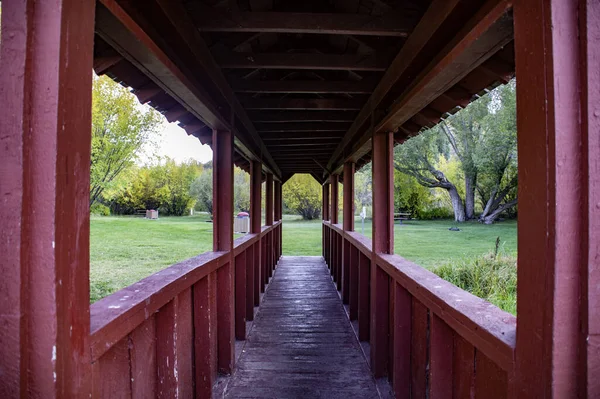 Beautiful Shot Bridge Forest Day — Fotografia de Stock