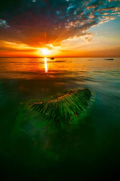 Vertical Shot Sunset Coast Baltic Sea Lithuania — Foto Stock