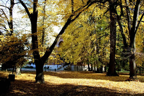 罗马尼亚阿尔日修道院红茶的秋色美景 — 图库照片