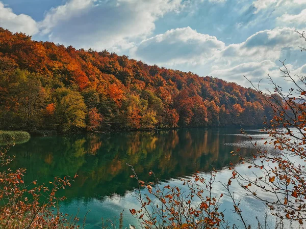Beautiful Orange Trees Reflected Lake Famous Plitvice Lakes National Park — Fotografia de Stock