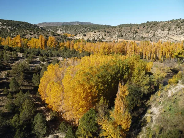 Aerial View Autumn Trees Forest Albarracin Aragon Spain — Stok fotoğraf
