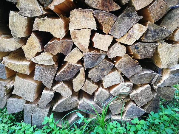 Closeup Shot Piles Cut Wood — Stock Photo, Image