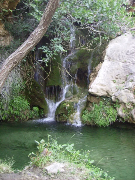 Une Petite Cascade Dans Forêt — Photo