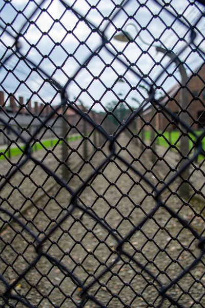 Security Mesh Fence Auschwitz — Fotografia de Stock