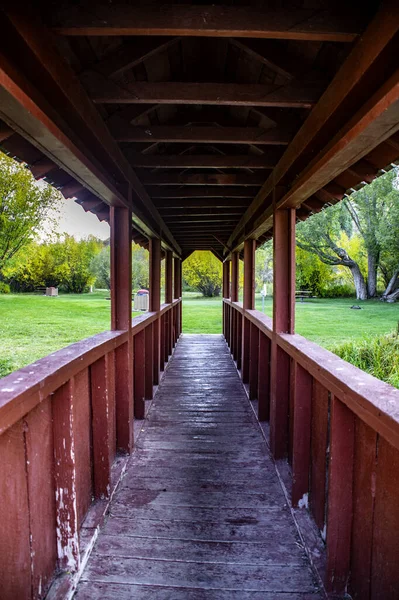 Vertical Shot Bridge Forest Day — Foto de Stock