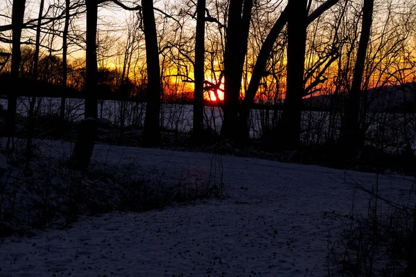 Beautiful View Winter Forest Sunset — Stockfoto