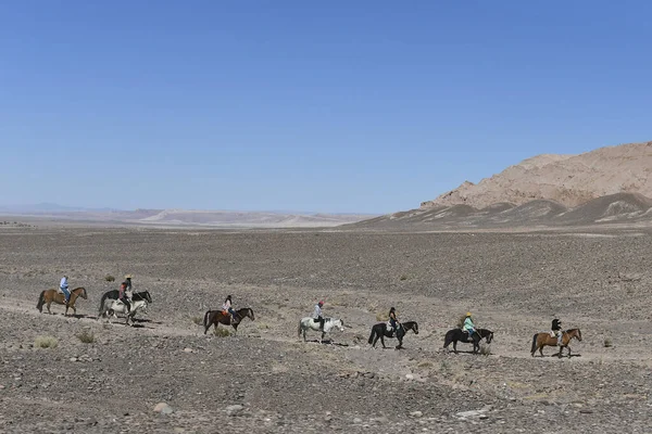 Row Travelers Horses Atacama Desert Chile — Zdjęcie stockowe