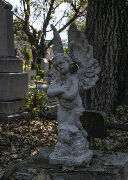 Vertical Shot Graveyard Statue Angel — Fotografia de Stock