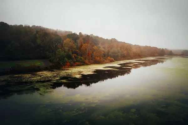 Die Landschaft Eines Sees Umgeben Von Einem Wald Der Herbst — Stockfoto