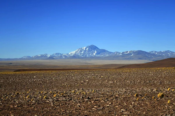 Deserted Area Scenic Mountains Background Atacama Desert Northern Chile — Stockfoto