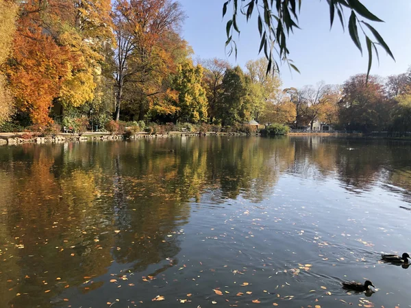 Beautiful Color Change Autumn Doblhoffpark Baden Austria — Stockfoto