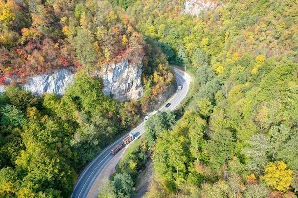 Aerial View Curved Road Autumnal Forest — Fotografia de Stock