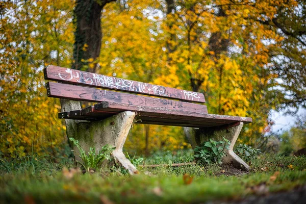 Beautiful Shot Wooden Park Bench Autumn Day — 스톡 사진