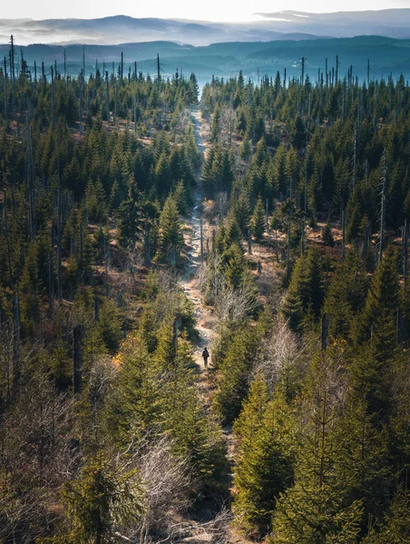 Lonesome Wanderer Mountain Landscape Bavarian Forest Germany Europe Drone Shot — Stockfoto