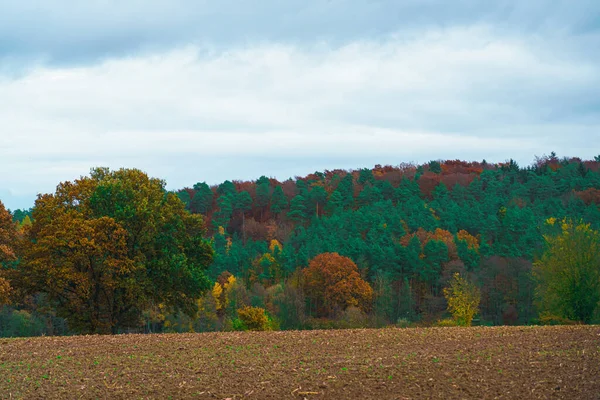 Beautiful Scenery Trees Colors Autumn — Foto Stock
