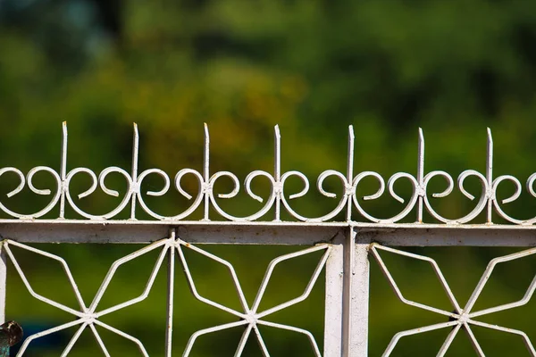 Closeup Iron Fence Blurred Background — Stockfoto