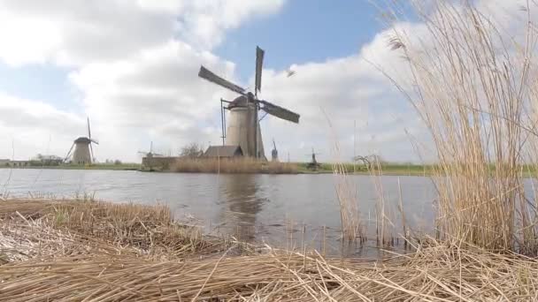 Windmühle Der Nähe Des Flusses Malerische Aussicht — Stockvideo