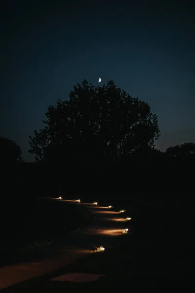Ein Beleuchteter Schmaler Pfad Einem Park Der Nacht — Stockfoto