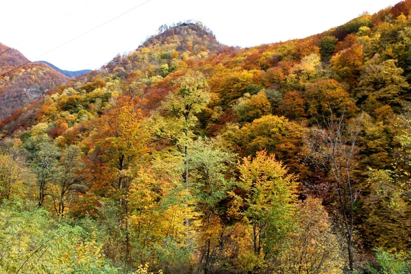 Beautiful Scenery Amazing Autumn Colors Cozia Olt River Valley — Foto de Stock