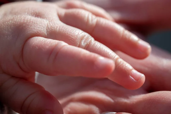 Selective Focus Shot Baby Hand Touching Adult Hand — Photo