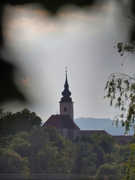 Eine Vertikale Aufnahme Der Kirche Umgeben Von Bäumen — Stockfoto