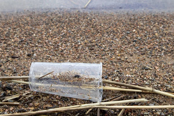 Closeup Broken Plastic Cup Isolated Sandy Beach Pollution — Photo