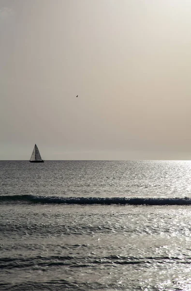 Trenc Espanha Outubro 2018 Silhuetas Barco Windsurfistas Trenc Maiorca — Fotografia de Stock