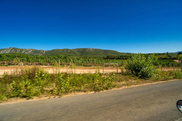 Beautiful View Car Vineyard — Stockfoto