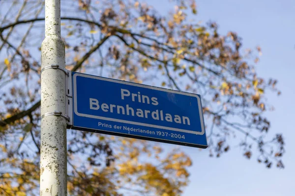 Pouliční Značka Holandsku Podzimním Barevným Listím Pozadí Proti Jasně Modré — Stock fotografie