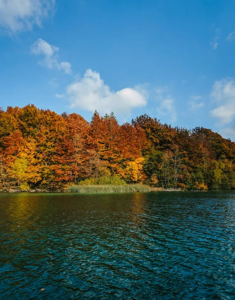 Beautiful Orange Trees Reflected Lake Famous Plitvice Lakes National Park — Stock fotografie