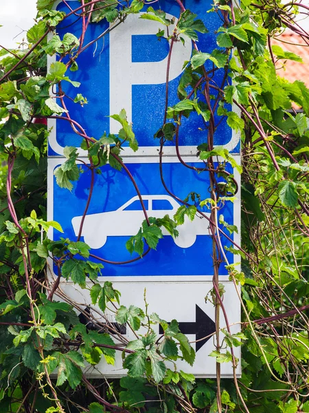 Vertical Closeup Parking Sign Being Overgrown Green Plants Sweden — Stockfoto