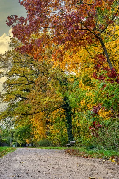 秋天的一天 一个五彩斑斓的公园的美丽照片 — 图库照片
