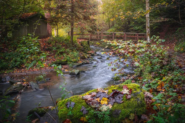 Piękny Cel Wędrówki Jesienny Las Perlbachtal Natur Und Erlebnispfad Perlbachtal — Zdjęcie stockowe