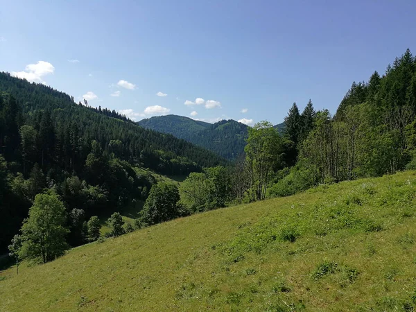 Natural Landscape Forested Hills Daylight — Stock Fotó