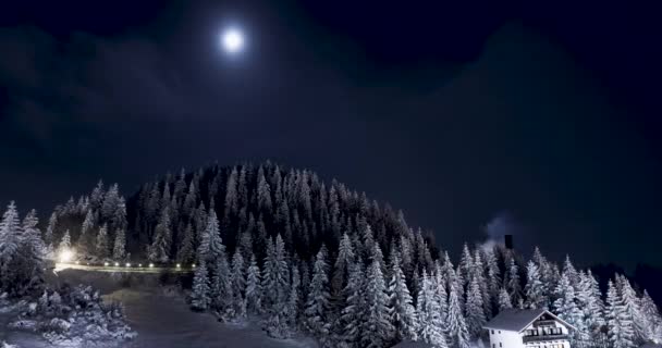 美丽的冬季雪景 — 图库视频影像