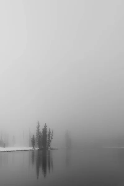 Een Grijs Landschap Wyoming Yellowstone National Park Winter — Stockfoto