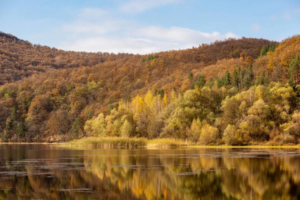 가운데있는 호수의 아름다운 형형색색 의나무들 가을에 내려다 보이는 — 스톡 사진