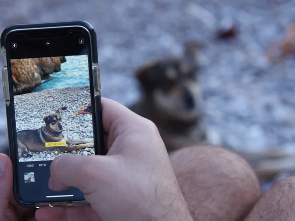 A selective of a phone screen capturing a dog in front of a man at the beach