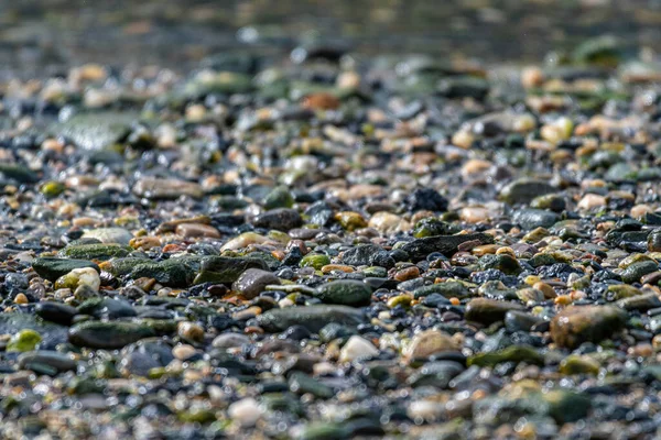 Крупним Планом Знімок Фону Річкових Каменів — стокове фото