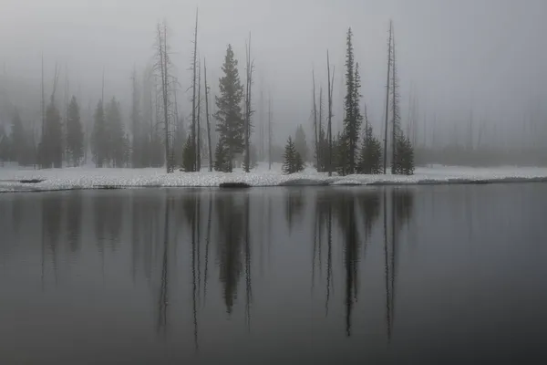 Серый Пейзаж Вайоминге Йеллоустонский Национальный Парк Зимой — стоковое фото