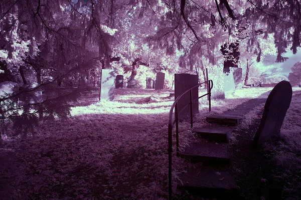 ピンク色で編集された公園内の古い墓地 — ストック写真
