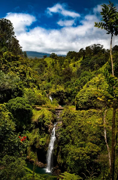 Vertical Shot Beautiful Tropical Road Hana Green Mountains Maui — Foto Stock