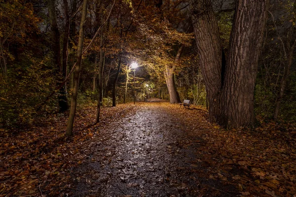 Sentiero Vuoto Parco Notte — Foto Stock