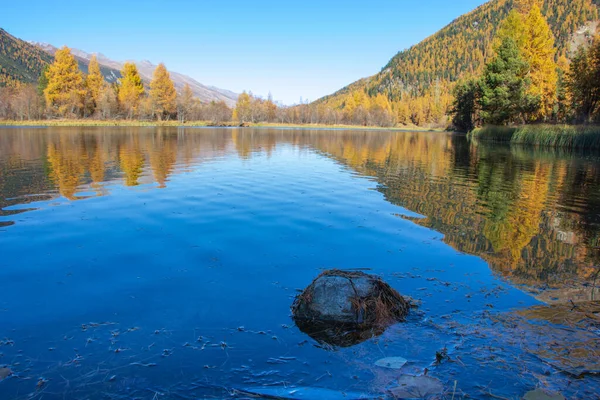 Захватывающий Вид Спокойное Озеро Окруженное Деревьями — стоковое фото