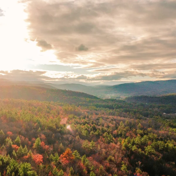 Uma Vista Panorâmica Uma Floresta Outono Colorida Dia Ensolarado — Fotografia de Stock